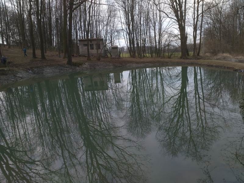 Rybník Proskovice