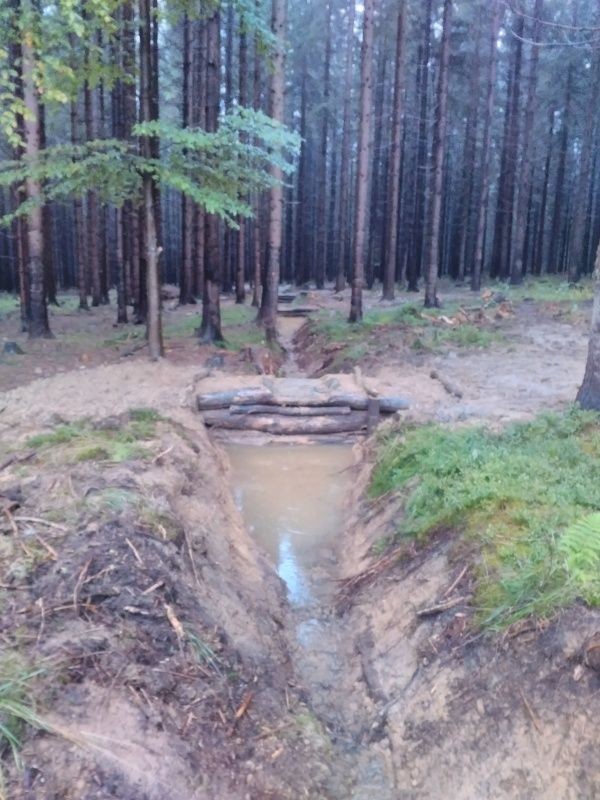 Tůně Biskupské lesy Ostravice