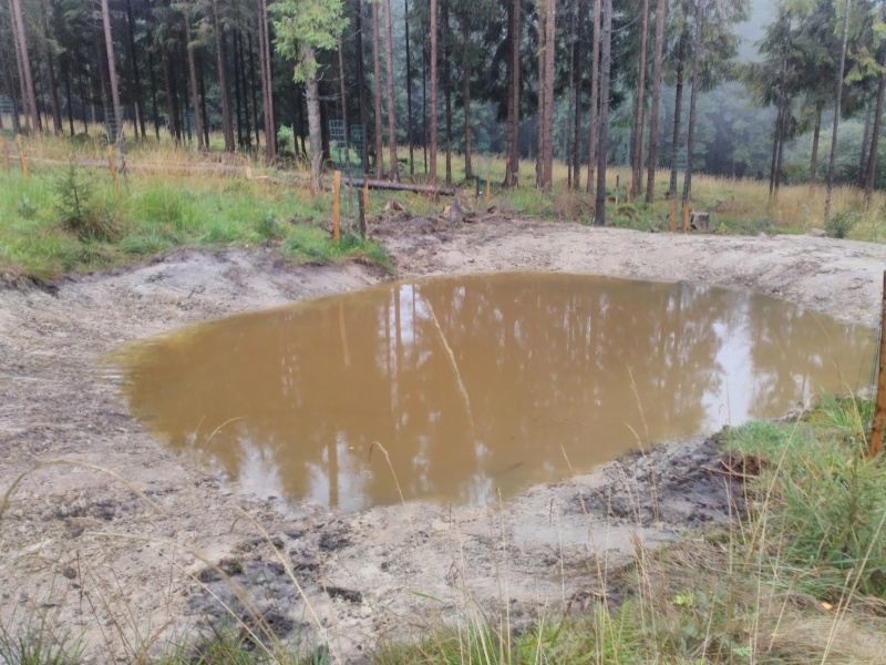 Tůně Biskupské lesy Ostravice