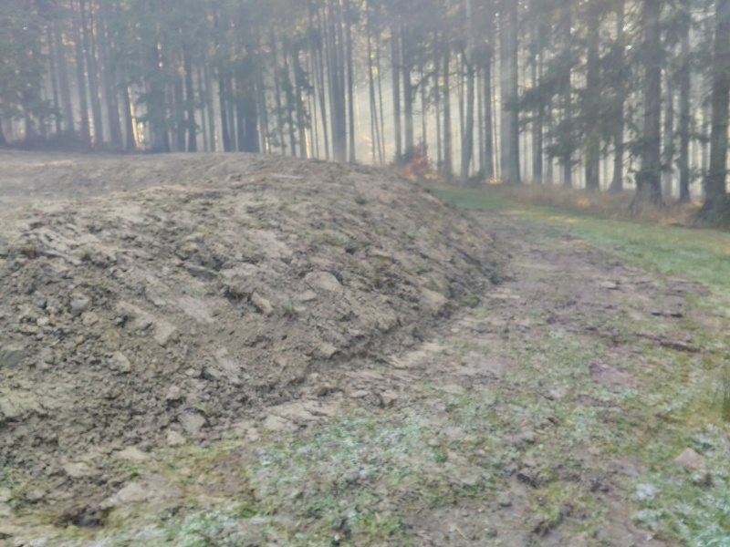 Tůně Biskupské lesy Ostravice