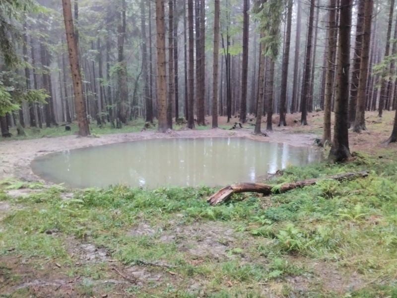 Tůně Biskupské lesy Ostravice